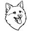 Bernie Logo